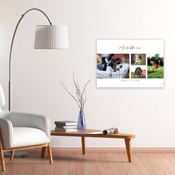 FOT-DS261-plakat-id-100x70cm-4-farver-hvid
